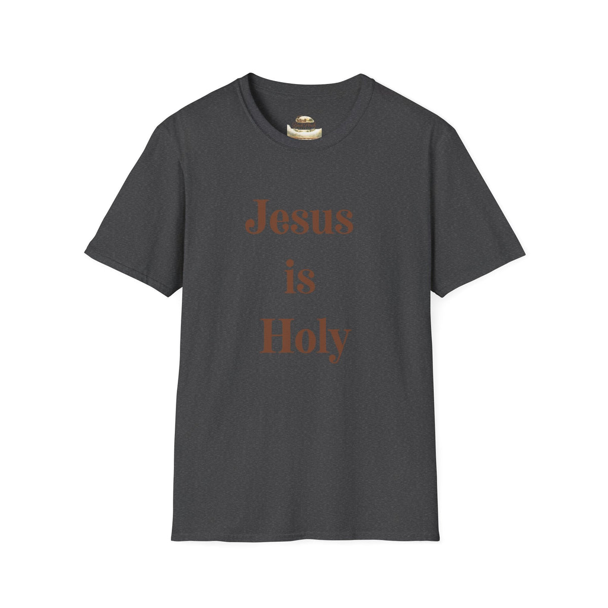 Jesus Is Holy T-Shirt — Christian Faith Tee